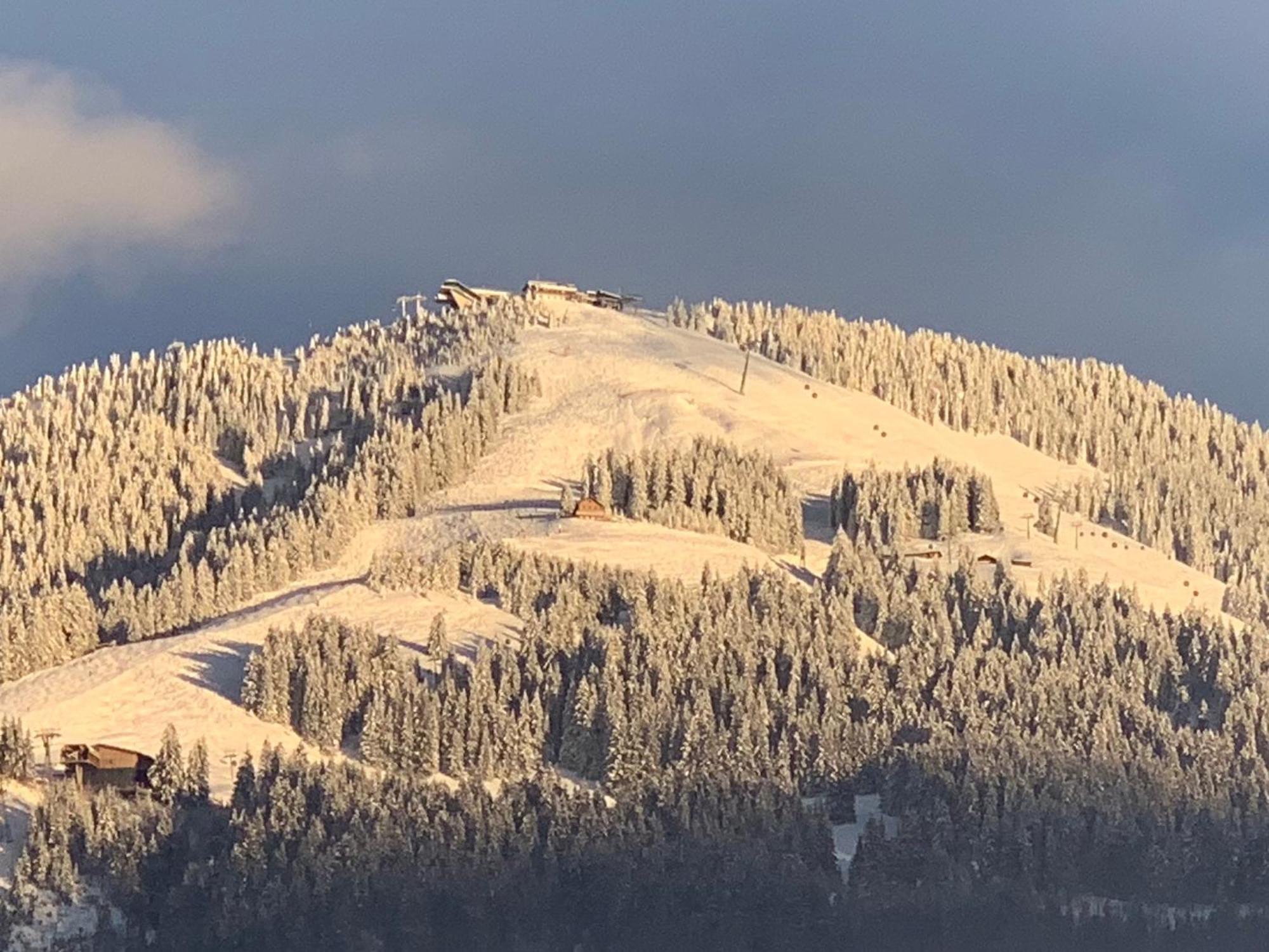 Appartementhaus Schubert Westendorf Exteriör bild